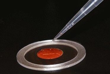 UltraCarry – Aqueous liquid sample carrier