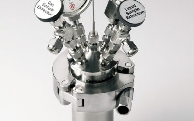 BR100 High Pressure Reactor