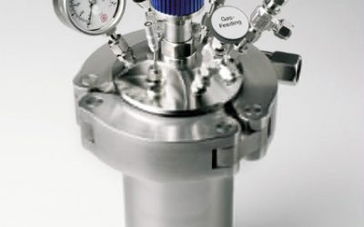 BR1000 High Pressure Reactor