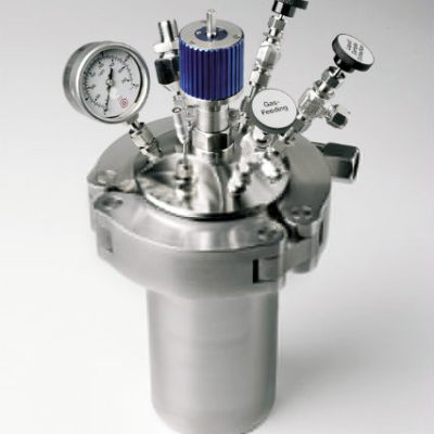 BR1000 High Pressure Reactor
