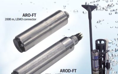 Dissolved Oxygen Sonde: Rinko FT