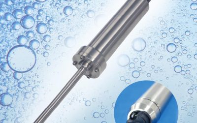 Dissolved Oxygen Sonde: Rinko EC
