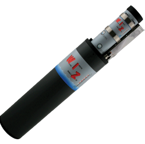 WIZ Portable In-situ Water Probe